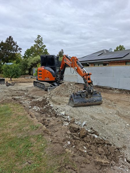 Mature lime tree successfully transplanted on the Renwick property