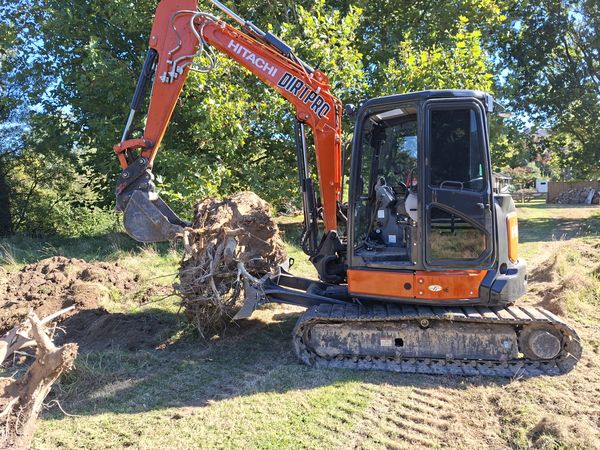 Stump pulled out roots and all on Tuamarina lifestyle block